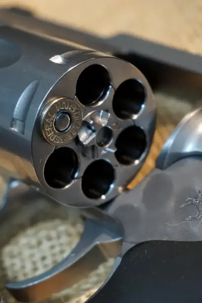 revolver 22