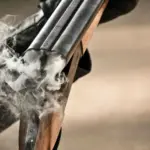 espingarda Winchester 22