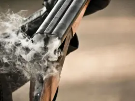 espingarda Winchester 22